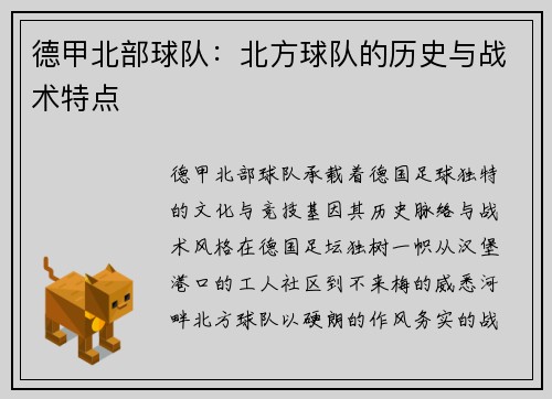 德甲北部球队：北方球队的历史与战术特点
